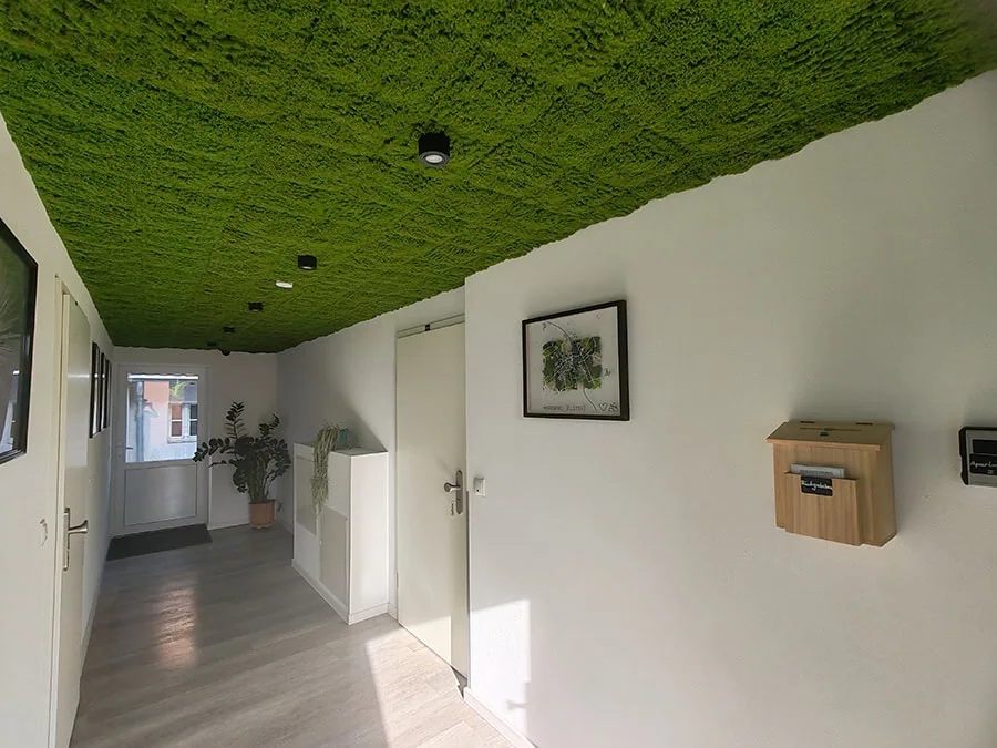 Flur mit grünem Deckenpaneel und weißen Wänden, ausgestattet mit Pflanzen und einem Briefkasten.